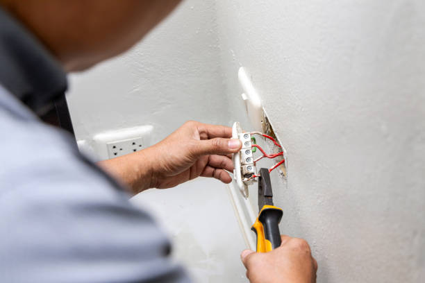 Best Ceiling Fan Installation Electrician  in Loma, CO